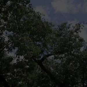 Yurika Aoi OnlyFans Leaked Free Thumbnail Picture - #If8oHKIEJU