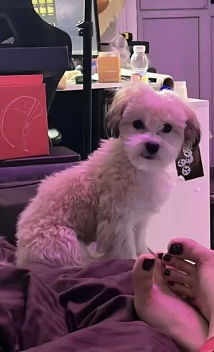 Yuuechka OnlyFans Leaked Free Thumbnail Picture - #PvOZoeZGAj