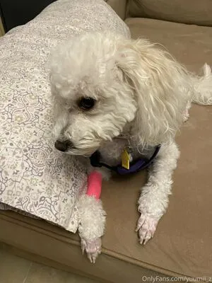 Yuumii Z OnlyFans Leaked Free Thumbnail Picture - #pagayBW8W7