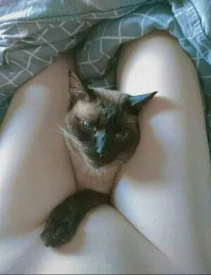Yuusachii OnlyFans Leaked Free Thumbnail Picture - #0PlSTk5iUi