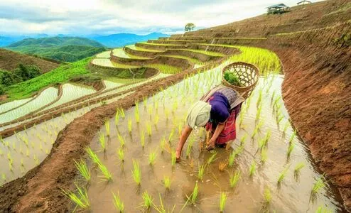 Zeezoubee OnlyFans Leaked Free Thumbnail Picture - #WPiMu4hT15