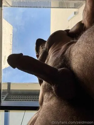 Zeidmoon OnlyFans Leaked Free Thumbnail Picture - #4my2CgqdCv