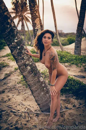 Zenpanda OnlyFans Leaked Free Thumbnail Picture - #H06hZkCvWl
