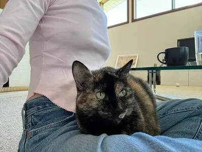 Zoeplzshutup OnlyFans Leaked Free Thumbnail Picture - #uCfk3tmTfR