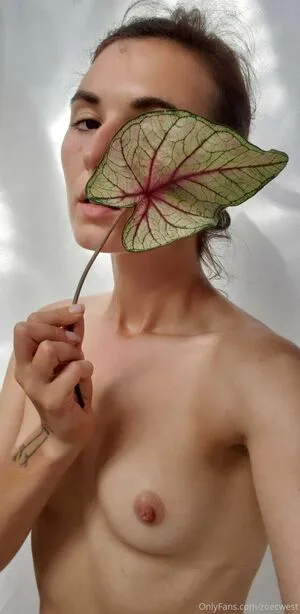 Zoesfrenchpress OnlyFans Leaked Free Thumbnail Picture - #u0dX1oTJoH